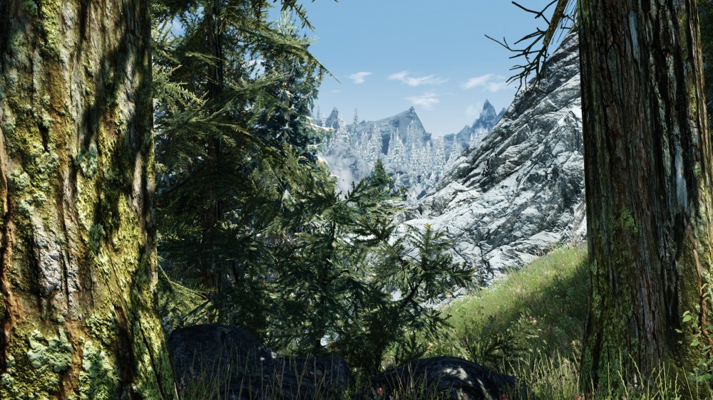 The Elder Scrolls V: Skyrim