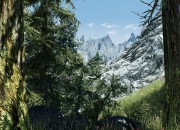 The Elder Scrolls V: Skyrim