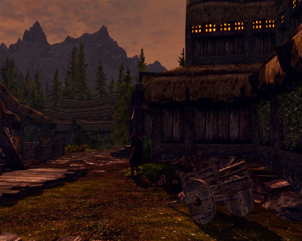The Elder Scrolls V: Skyrim