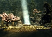 The Elder Scrolls V: Skyrim