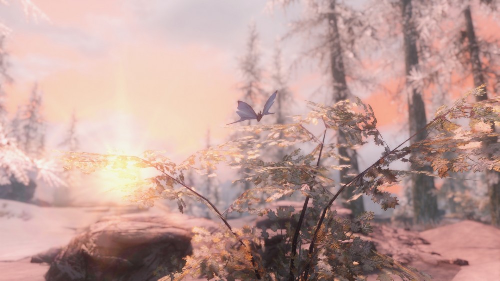 The Elder Scrolls V: Skyrim