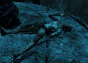The Elder Scrolls V: Skyrim