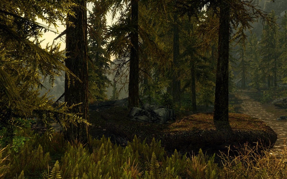 The Elder Scrolls V: Skyrim