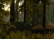 The Elder Scrolls V: Skyrim