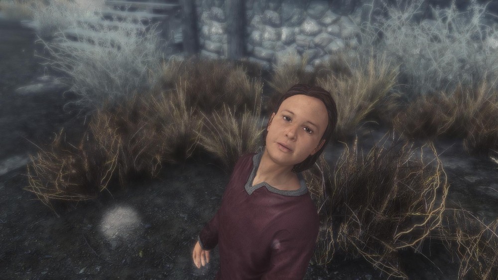 The Elder Scrolls V: Skyrim