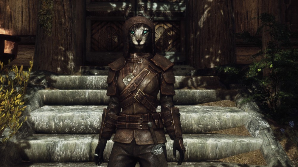 The Elder Scrolls V: Skyrim