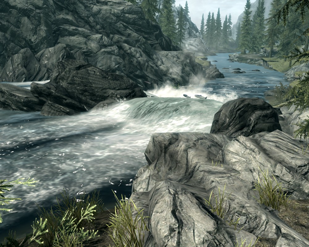 The Elder Scrolls V: Skyrim