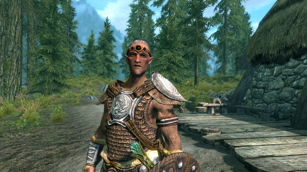The Elder Scrolls V: Skyrim