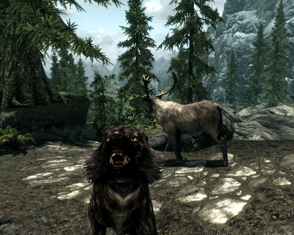 The Elder Scrolls V: Skyrim
