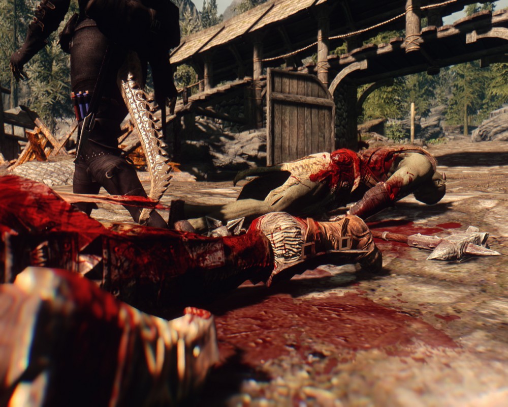 The Elder Scrolls V: Skyrim