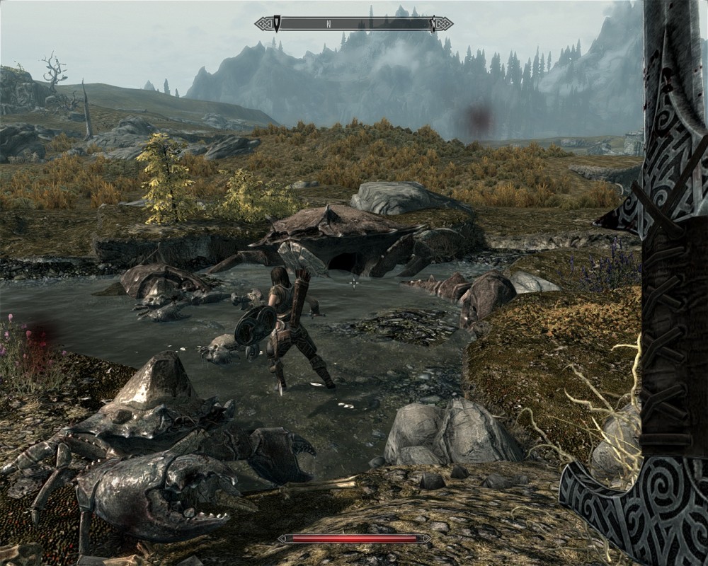 The Elder Scrolls V: Skyrim