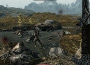 The Elder Scrolls V: Skyrim
