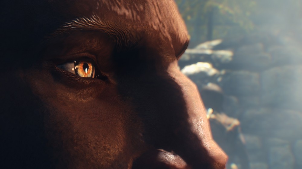 The Elder Scrolls V: Skyrim