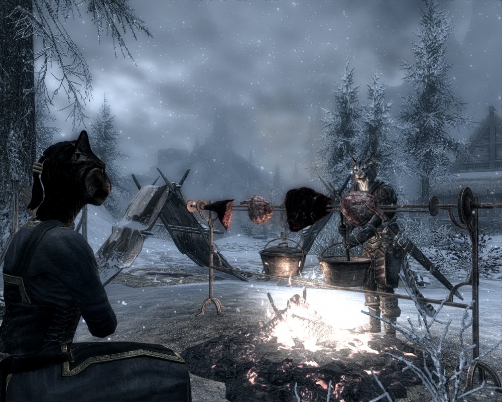 The Elder Scrolls V: Skyrim