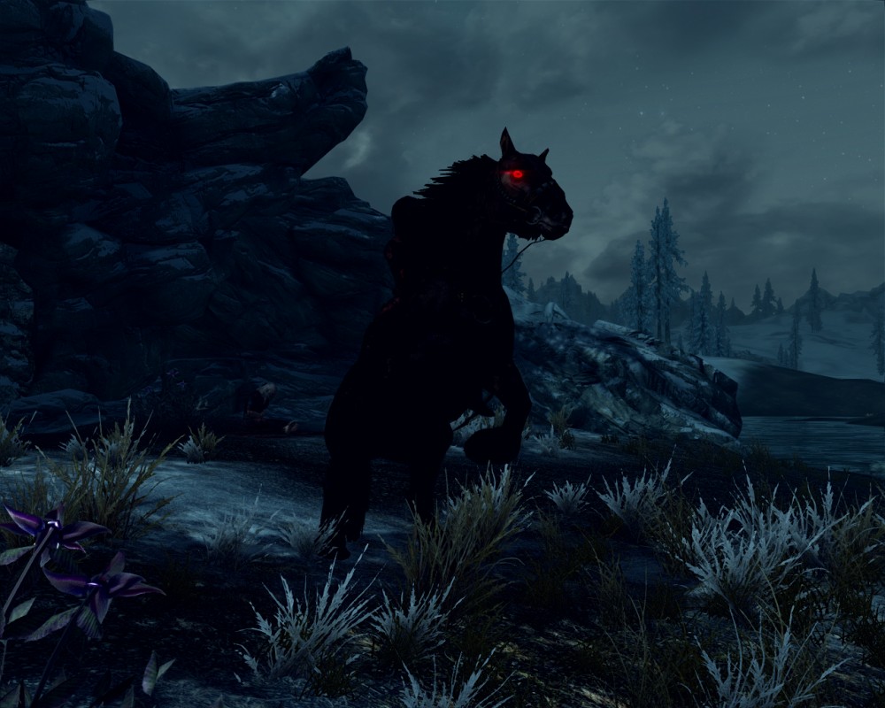 The Elder Scrolls V: Skyrim