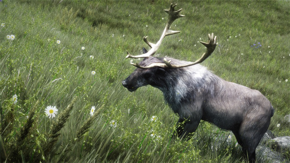 The Elder Scrolls V: Skyrim