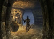 The Elder Scrolls V: Skyrim