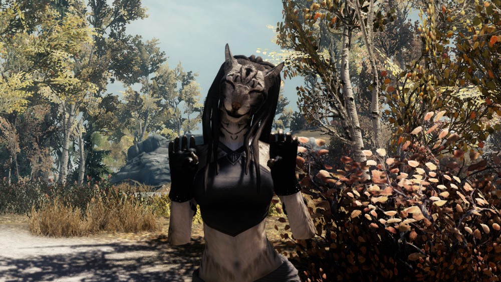 The Elder Scrolls V: Skyrim