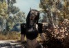 The Elder Scrolls V: Skyrim