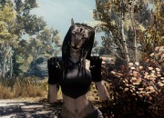 The Elder Scrolls V: Skyrim