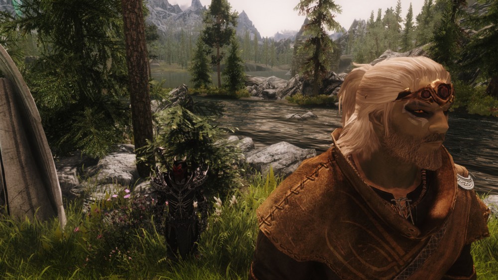 The Elder Scrolls V: Skyrim