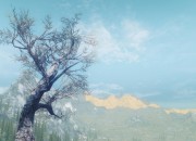 The Elder Scrolls V: Skyrim
