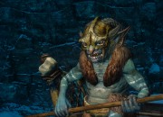 The Elder Scrolls V: Skyrim