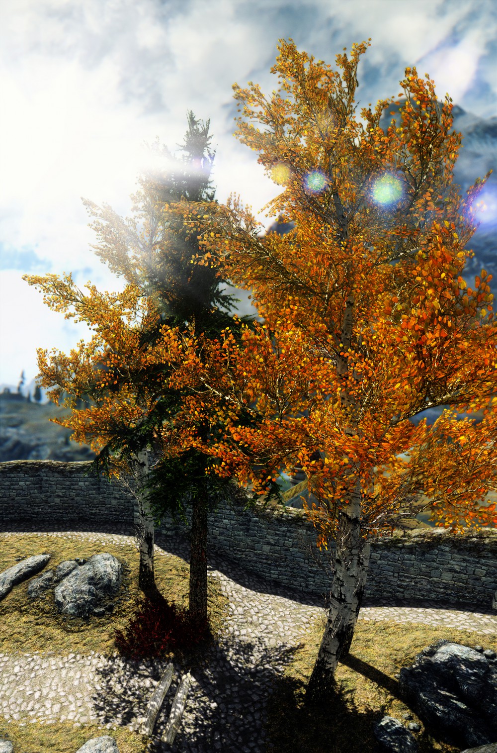 The Elder Scrolls V: Skyrim