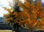 The Elder Scrolls V: Skyrim