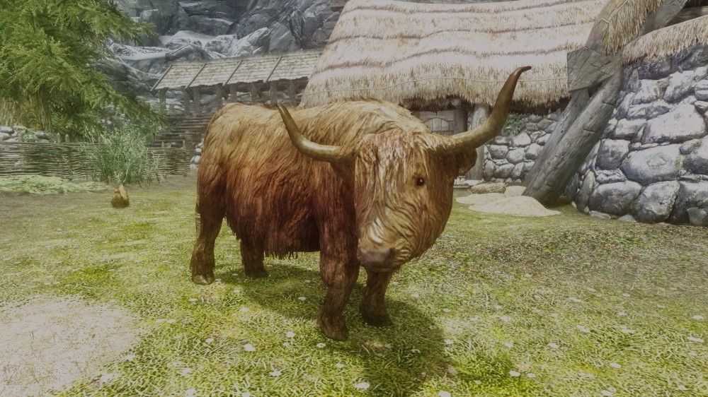 The Elder Scrolls V: Skyrim