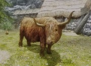 The Elder Scrolls V: Skyrim