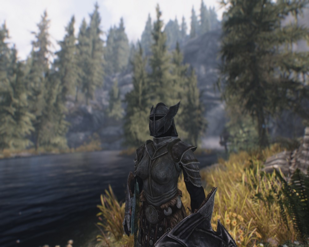 The Elder Scrolls V: Skyrim