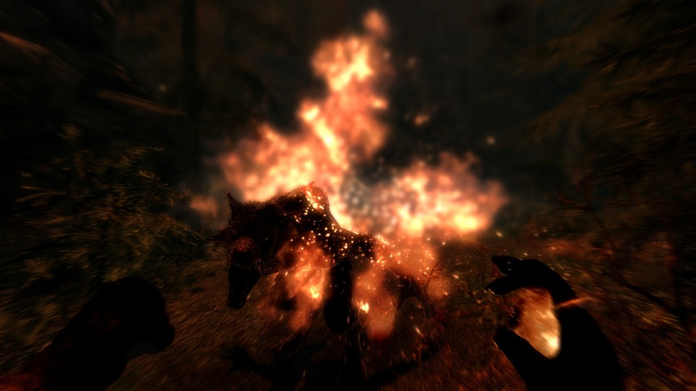 The Elder Scrolls V: Skyrim