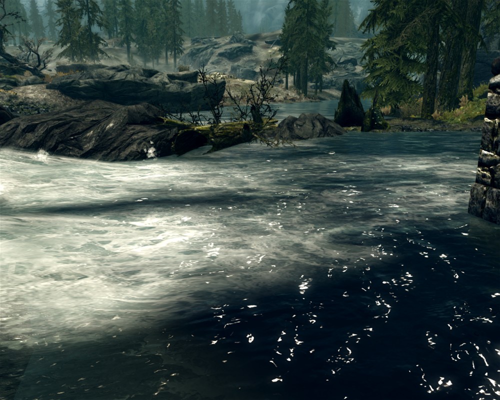The Elder Scrolls V: Skyrim