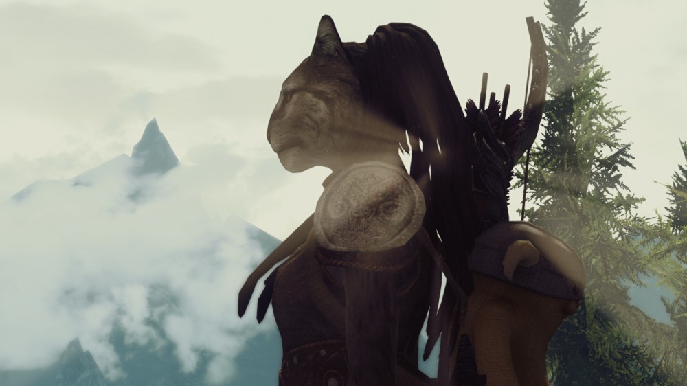 The Elder Scrolls V: Skyrim