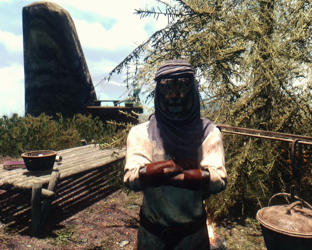 The Elder Scrolls V: Skyrim