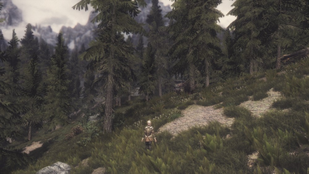 The Elder Scrolls V: Skyrim