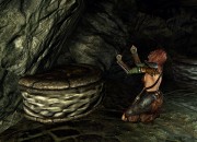 The Elder Scrolls V: Skyrim