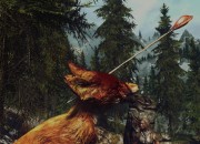 The Elder Scrolls V: Skyrim