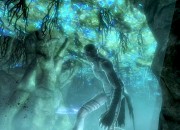 The Elder Scrolls V: Skyrim