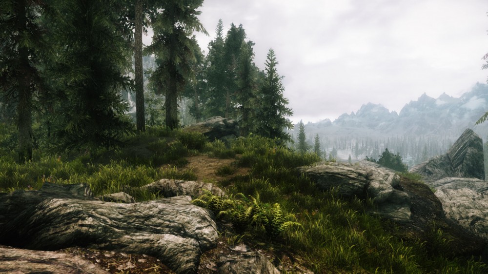 The Elder Scrolls V: Skyrim