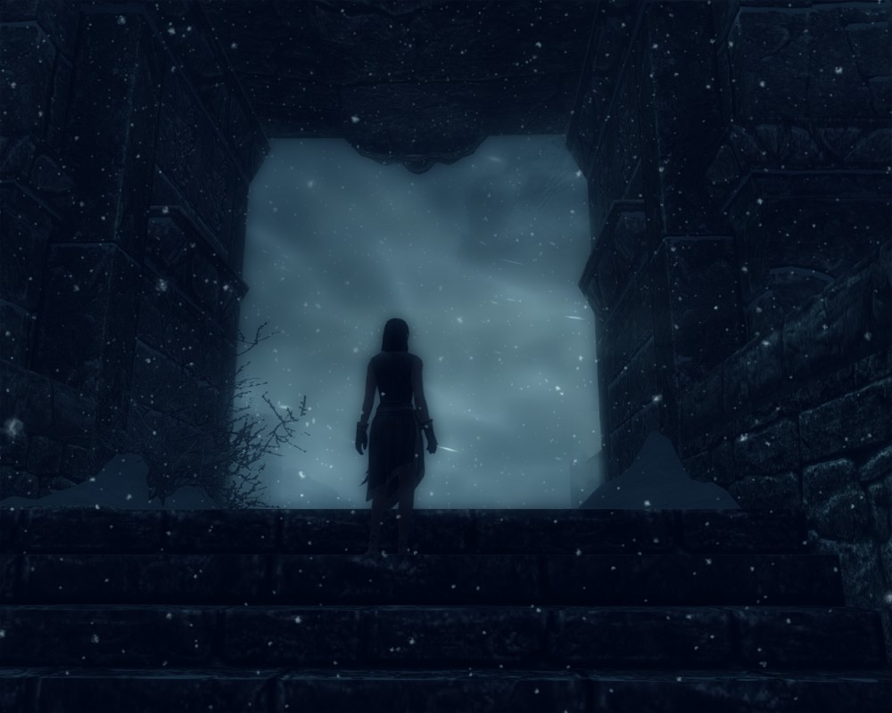 The Elder Scrolls V: Skyrim