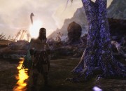 The Elder Scrolls V: Skyrim