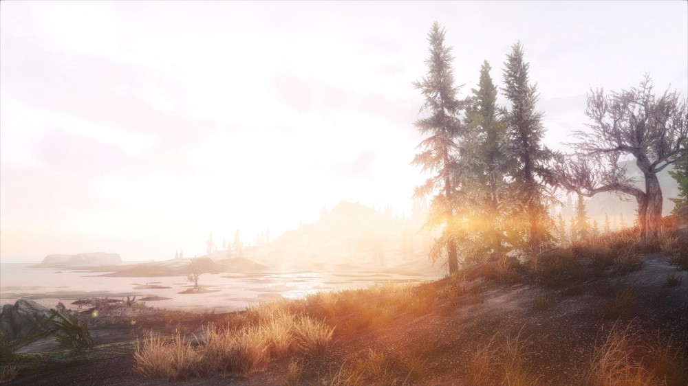 The Elder Scrolls V: Skyrim