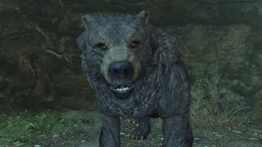 The Elder Scrolls V: Skyrim
