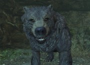 The Elder Scrolls V: Skyrim