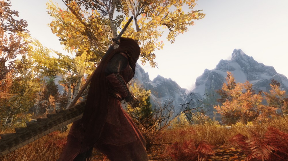 The Elder Scrolls V: Skyrim