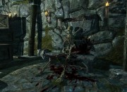 The Elder Scrolls V: Skyrim