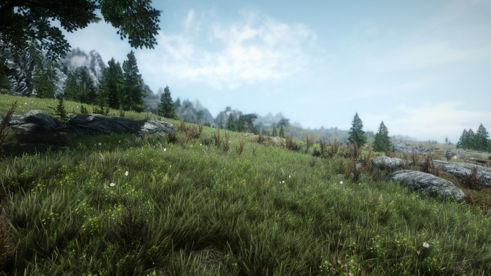 The Elder Scrolls V: Skyrim
