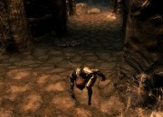 The Elder Scrolls V screenshot